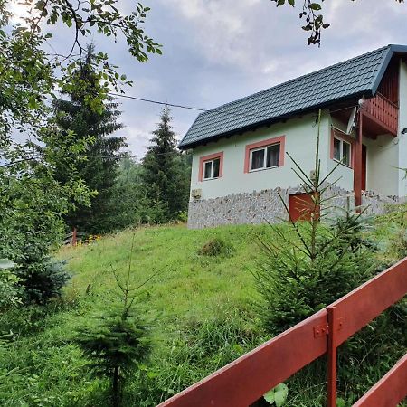 Casa Dor De Ea Villa Dâmbovicioara Bagian luar foto
