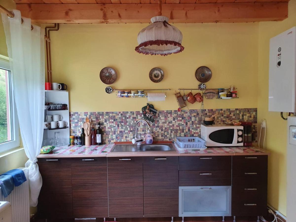 Casa Dor De Ea Villa Dâmbovicioara Bagian luar foto