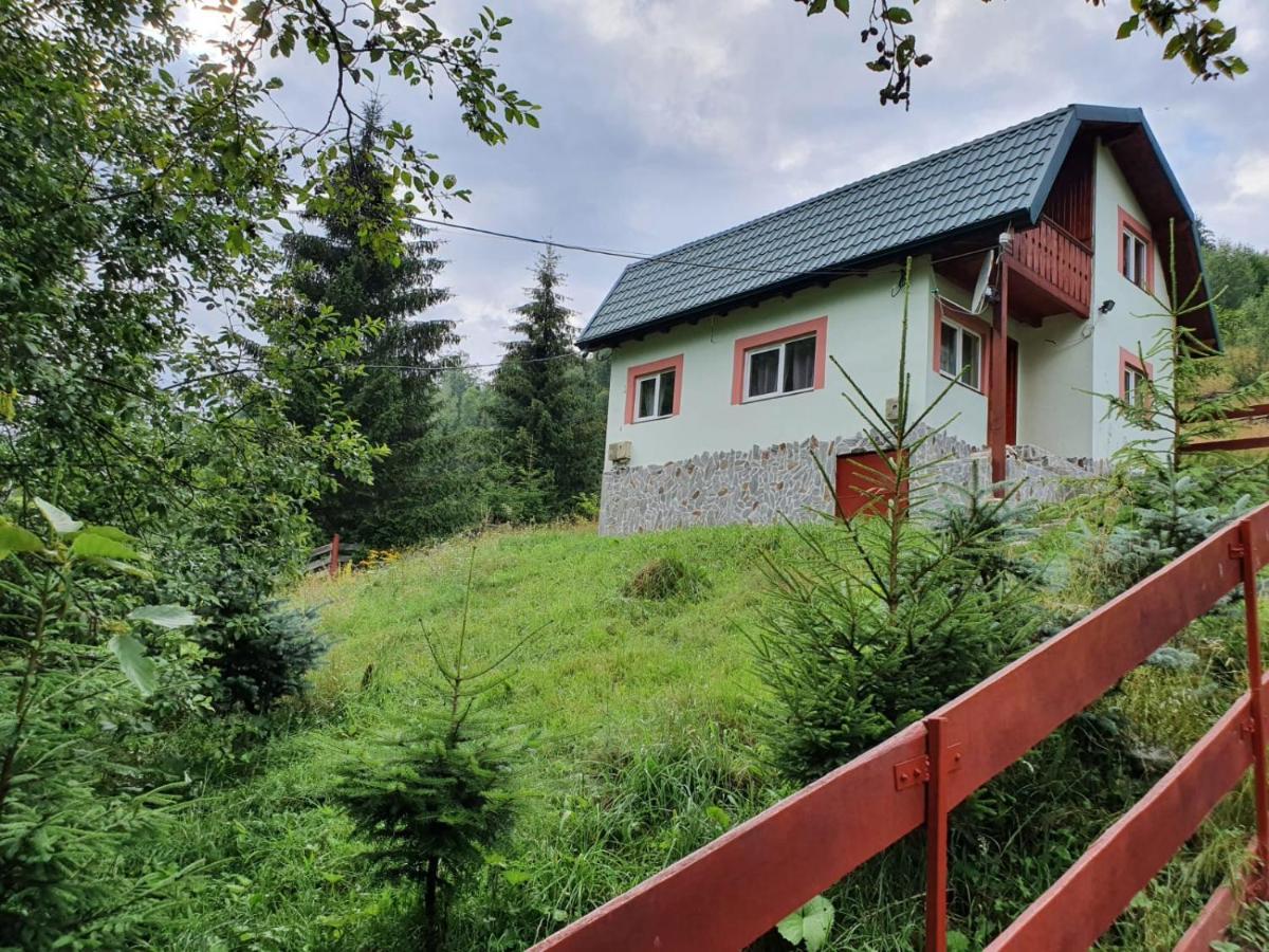 Casa Dor De Ea Villa Dâmbovicioara Bagian luar foto