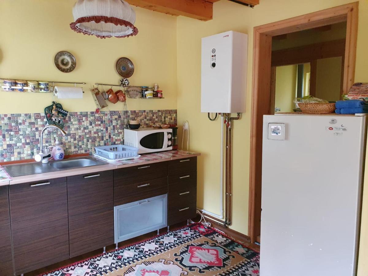 Casa Dor De Ea Villa Dâmbovicioara Bagian luar foto