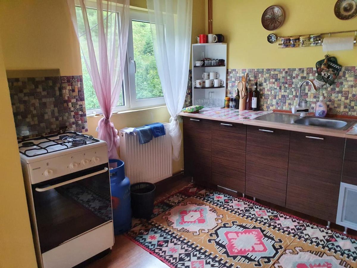 Casa Dor De Ea Villa Dâmbovicioara Bagian luar foto