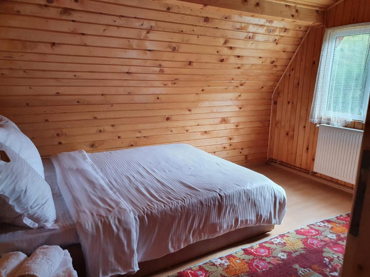 Casa Dor De Ea Villa Dâmbovicioara Bagian luar foto