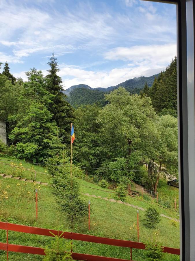 Casa Dor De Ea Villa Dâmbovicioara Bagian luar foto
