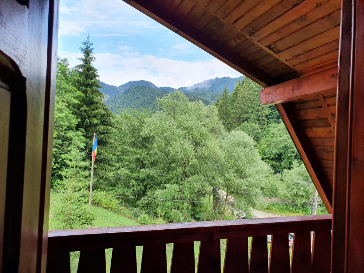 Casa Dor De Ea Villa Dâmbovicioara Bagian luar foto