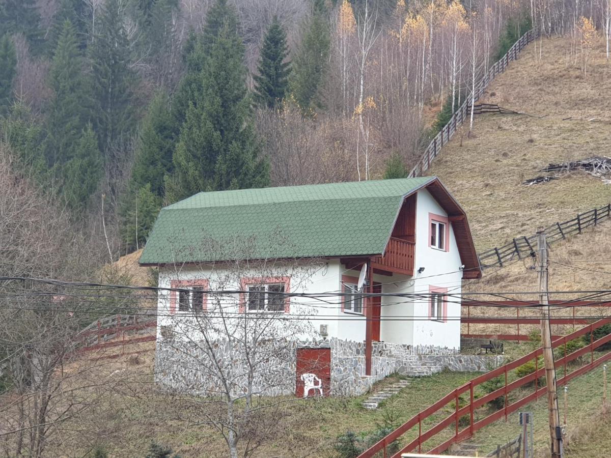 Casa Dor De Ea Villa Dâmbovicioara Bagian luar foto